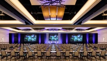 Painting & Wallcoverings - Image 6